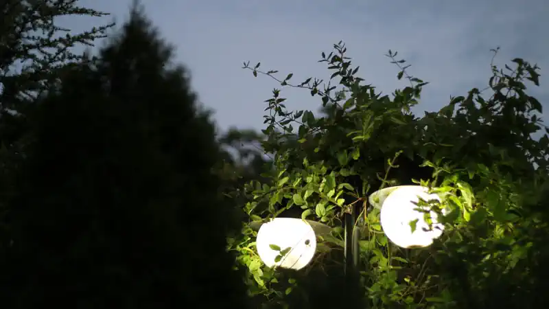 solar powered landscape lights