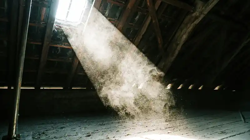 attic insulation