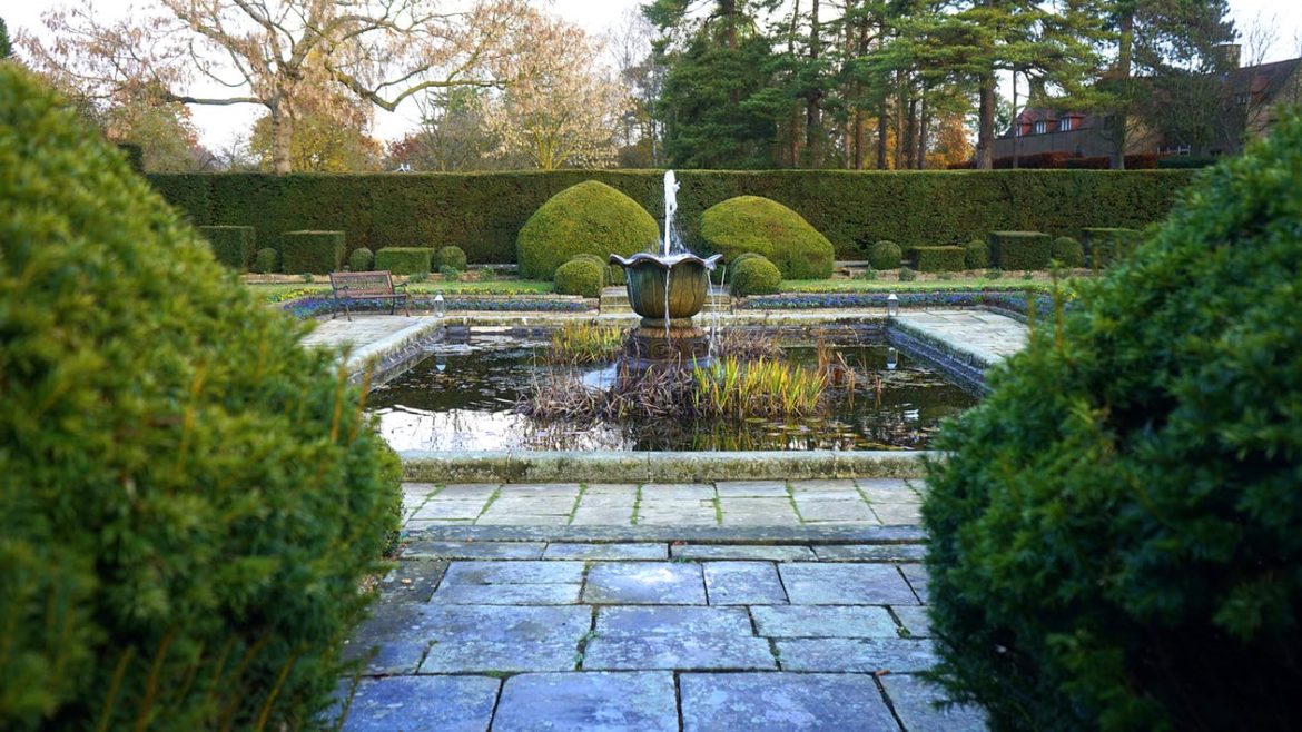 Why Oxygen is Important for Your Pond
