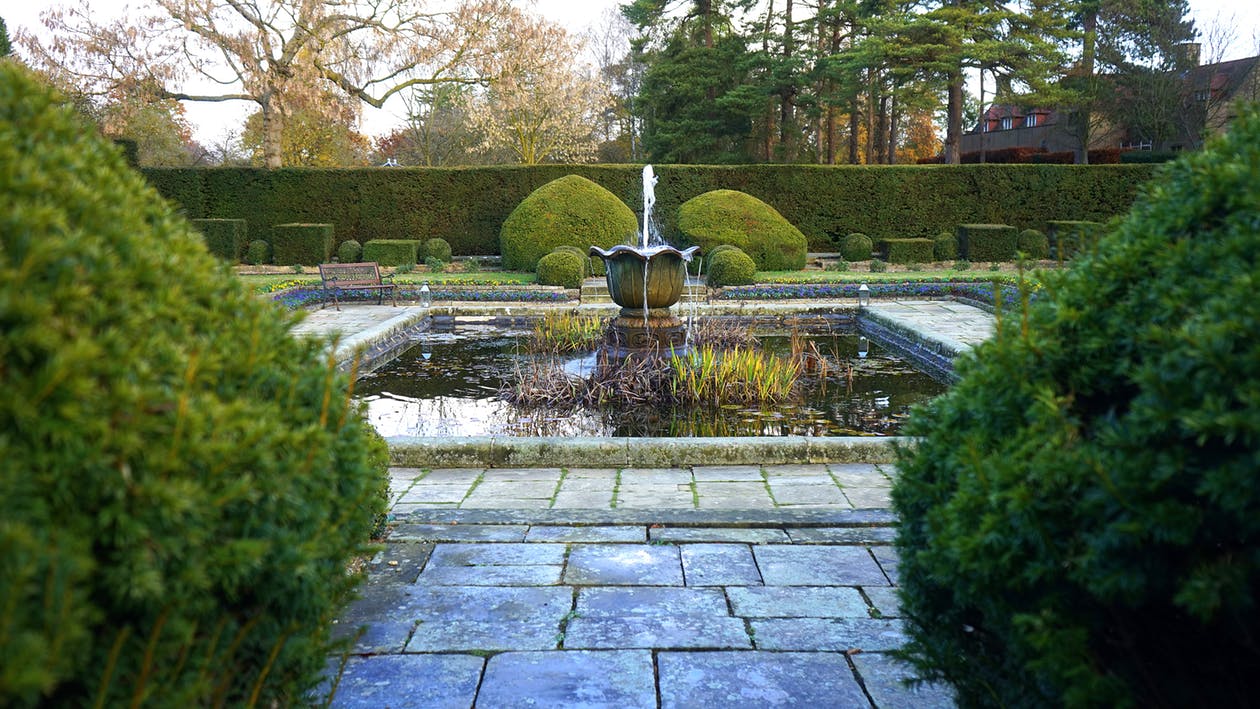 Why Oxygen is Important for Your Pond