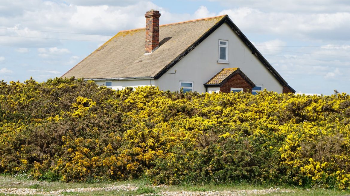 house with chimney