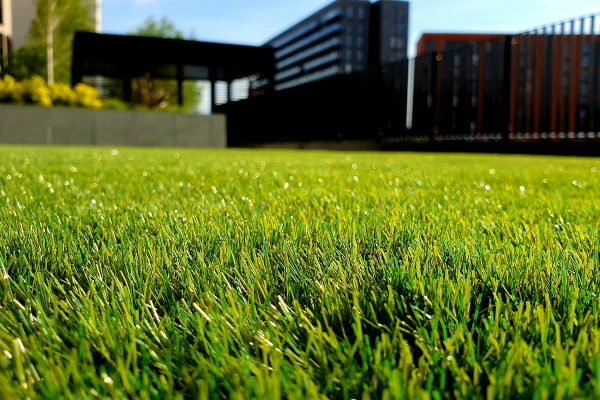 How to Maintain a Healthy Lawn