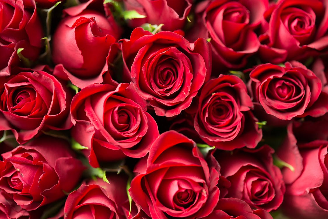 The 5 Most Popular Valentine's Day Flowers