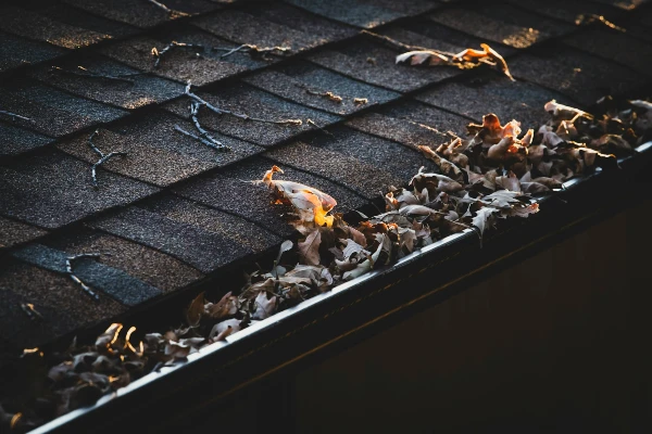 easier Gutter Cleaning