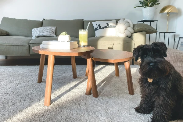 living room carpet
