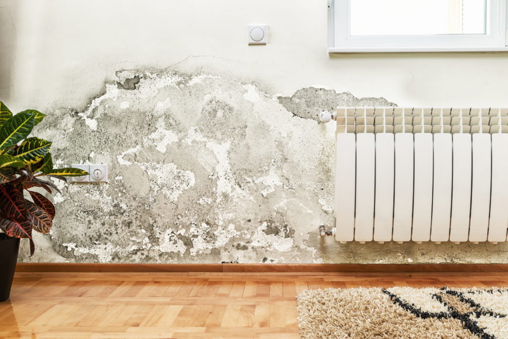 11 Signs of Mold Infestation In Your Bedroom