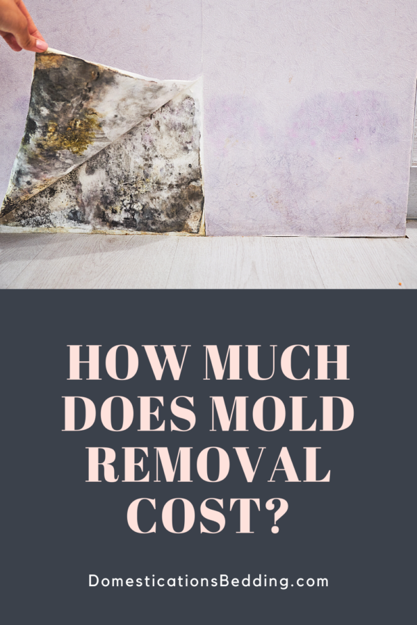 How Much Does Mold Removal Cost 