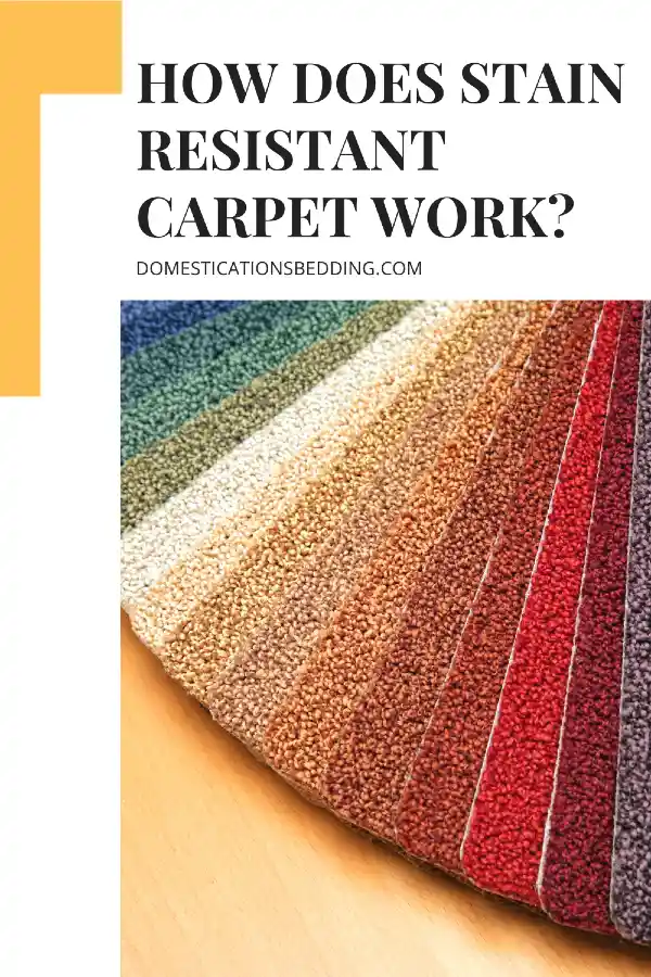 Stain Resistant Carpet Work