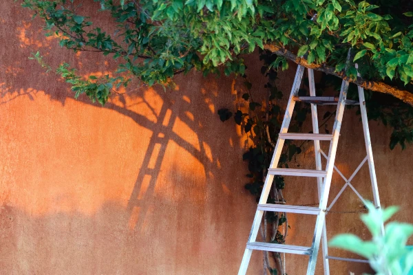 home renovation