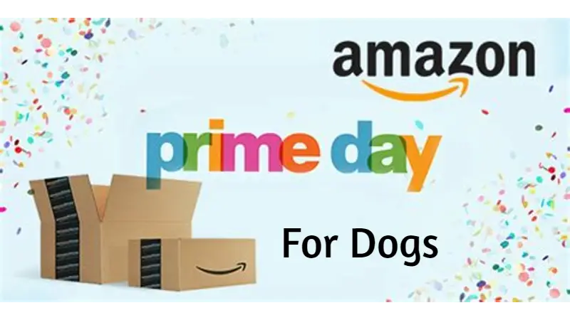 Amazon prime dog supplies hotsell