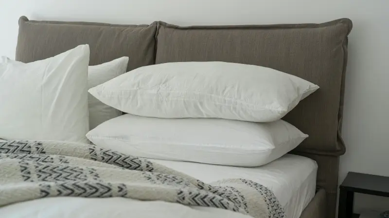 Bed Bug Infestation