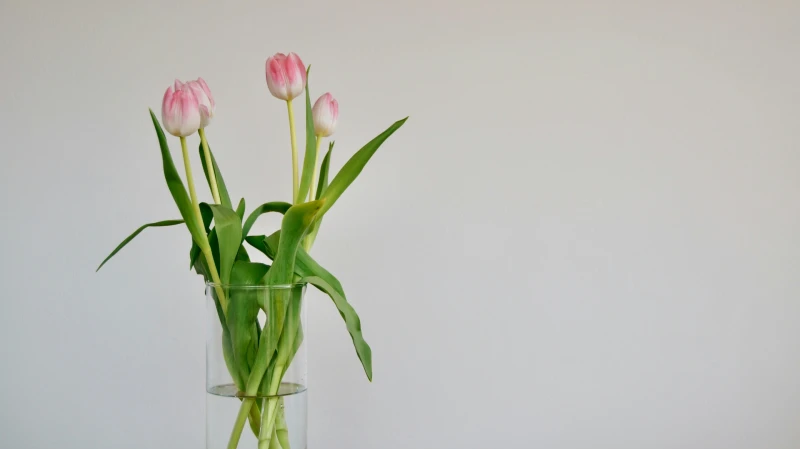 glass bud vase
