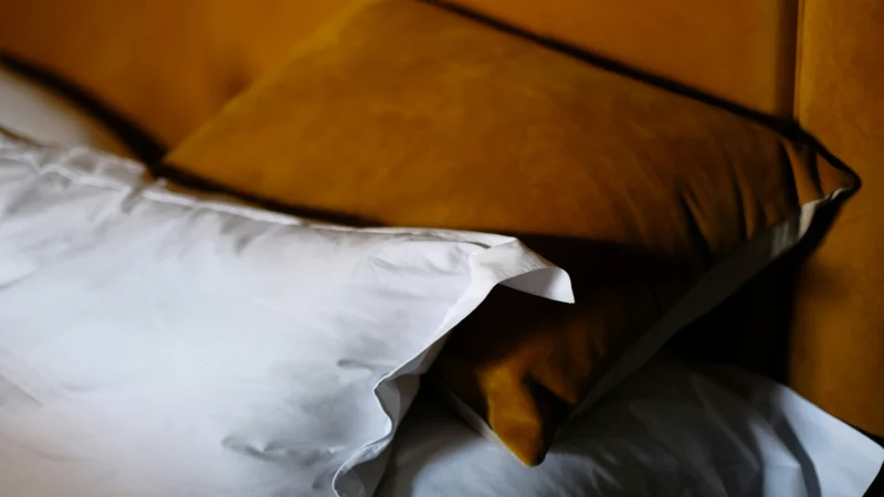 How to Get Rid of Bed Bugs in Mattress