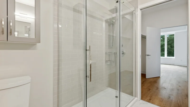 Shower Door