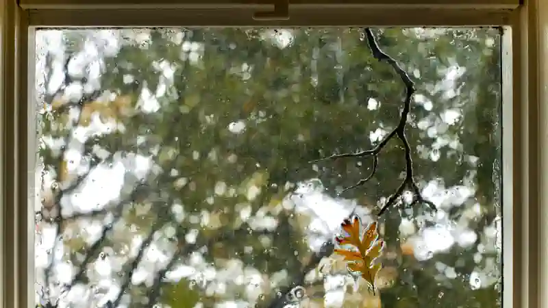 window maintenance
